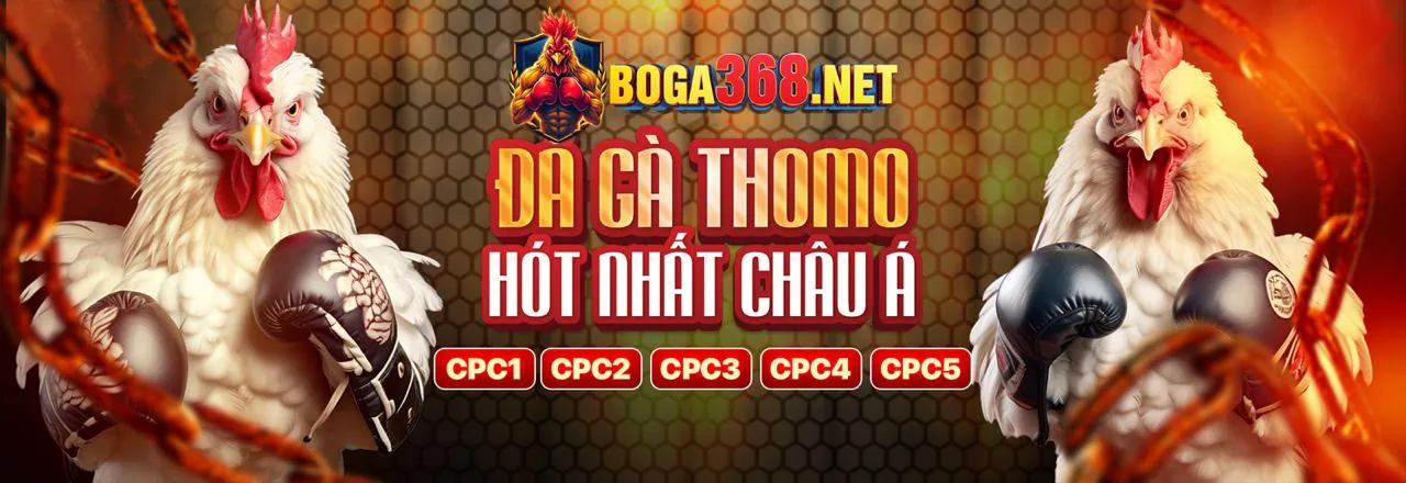Chính sách Cookie của gi8 casino